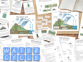 Preview of The Water Cycle: labeled & unlabeled diagrams, human impacts, 3 lab activities