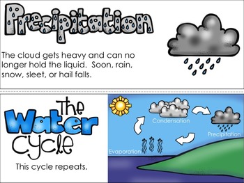 Water Cycle Vocabulary Cards by First Grade Fanatics | TpT