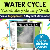 Water Cycle Vocabulary | Find the Definition Gallery Walk 