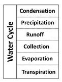 Water Cycle Vocabulary Foldable