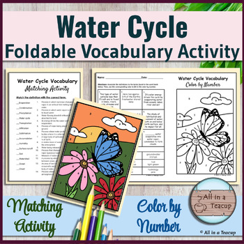 Preview of Water Cycle Vocabulary Foldable Butterfly Color by Number & Matching Activity
