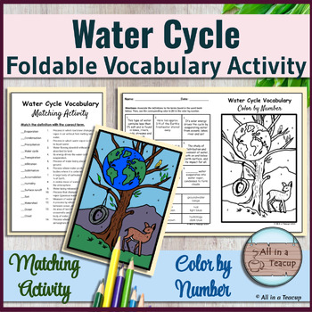 Preview of Water Cycle Vocabulary Foldable Earth Day Color By Number & Matching Activity