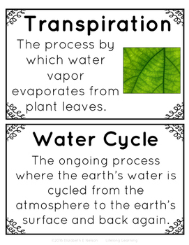 Water Cycle Vocabulary Posters by Lifelong Learning | TpT