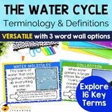 Water Cycle Vocabulary | Word Wall Cards | Terminology & D