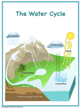 Water Cycle WebQuest by Science and STEAM Team | TpT