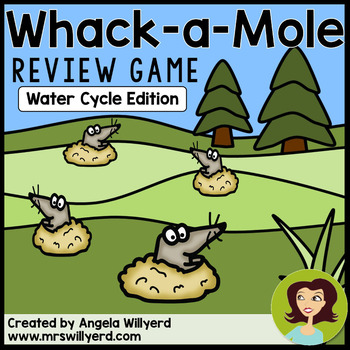 Preview of Water Cycle Review Game: Whack-a-Mole
