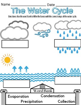 Water Cycle Word Bank Activity (Including Answer Key) by Connor Gilligan