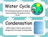 Water Cycle Word/ Vocabulary Wall