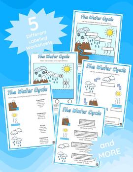 Water Cycle Worksheets and Posters | Preschool to 2nd by KateeBug Learning