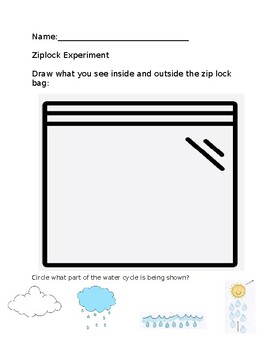 Preview of Water Cycle - Ziplock Experiment / Water cycle experiment / worksheet