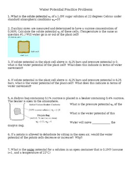 Preview of Water Potential Practice Problems