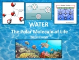 Water Properties PowerPoint (editable)