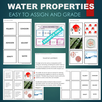 Preview of Water Properties (Polarity, Cohesion, Adhesion) Sort & Match STATIONS Activity