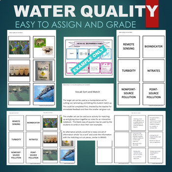 Preview of Water Quality- Turbidity, Nitrate, Pollution Sort & Match STATIONS Activity