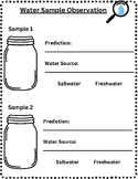 Water Sample Observation Recording Sheet