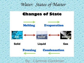 Preview of Water- States of Matter BUNDLE 4th Grade Science