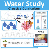 Water Study - Creative Curriculum