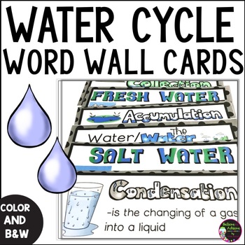 Preview of Water Cycle Vocabulary Cards With Definitions