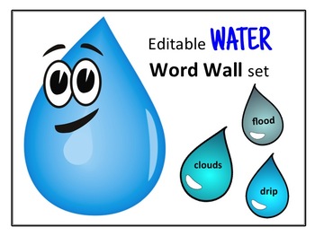 Preview of Water Word Wall Editable Vocabulary Cards