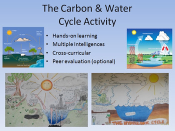 Preview of Water and Carbon Cycle Diagram Activity - Bring out their creativity!