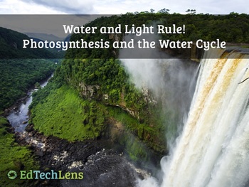 Preview of Water and Light Rule! Photosynthesis and the Water Cycle Distance Learning PDF