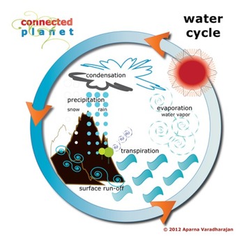 Preview of Water cycle chart