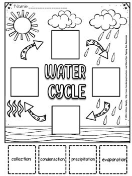 simple water cycle worksheet