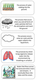 Water cycle vocabulary cut and paste activity