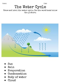 Water cycle worksheet by Emily's Store | TPT