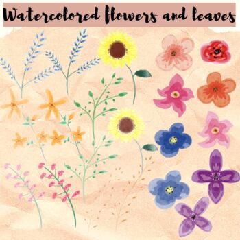 Preview of WaterColored Flowers and Leaves
