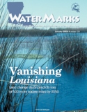 WaterMarks#24: Vanishing Louisiana