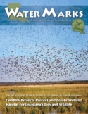 WaterMarks #55: CWPPRA Projects Protect and Create Wetland