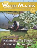 WaterMarks #56: Halting Invasive Species' Assault on the Wetlands