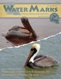 WaterMarks #61: A Decade of Recovery Following the  Deepwa