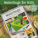 Waterbug Identification | Aquatic Macroinvertebrates | Aqu