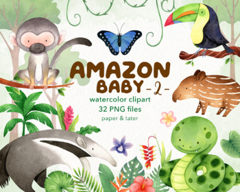 Preview of Watercolor Amazon Baby Animals 2 Clipart Graphic, Tropical Rainforest Jungle PNG