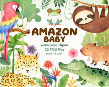 Preview of Watercolor Amazon Baby Animals Clipart Graphics, Tropical Rainforest Jungle PNG