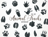 Watercolor Animal Tracks Clipart, Animal Tracks Graphics, 