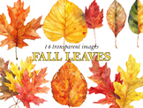 Watercolor Autumn Leaves Clipart