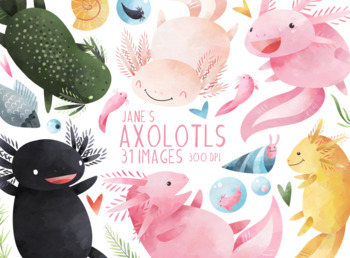 Preview of Watercolor Axolotls Clipart