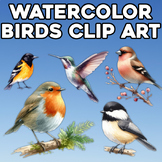 Watercolor Birds Clip Art - Beautiful Classroom Decor