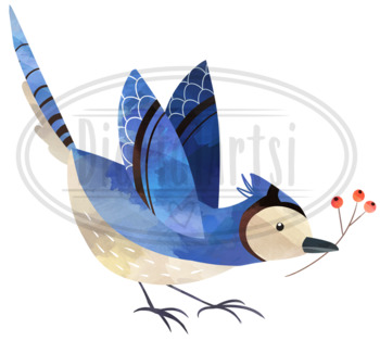 Winter Birds Watercolor Clipart Red Cardinal Blue Jay 