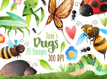 Preview of Watercolor Bugs Clipart