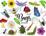 Watercolor Bugs Clipart, Insects Clipart, Bugs Graphics, N