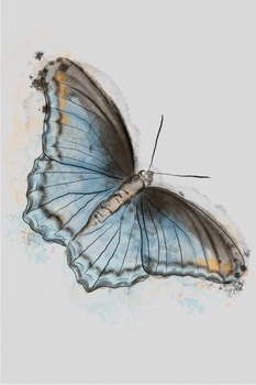 Preview of Watercolor Butterfly Clip Art Stationary for Cards, Parent or Staff Notes