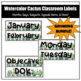 Watercolor Cactus Classroom Labels | Months, Days, Subject