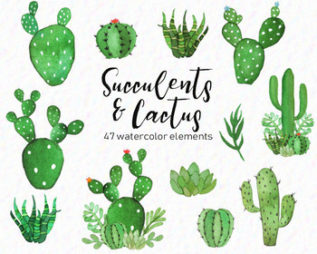 Download Cactus Succulent Clipart Worksheets Teaching Resources Tpt