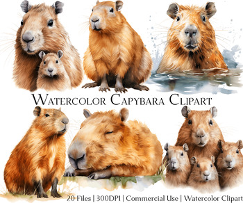 100 Critter Characters #3 Capybara Studying Hard Illustration by