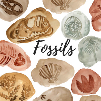 Preview of Watercolor Dinosaur Fossil Clipart