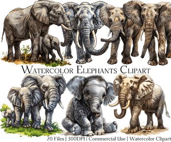 Preview of Watercolor Elephant Clipart Set of 20 Files